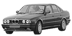 BMW E34 P184C Fault Code